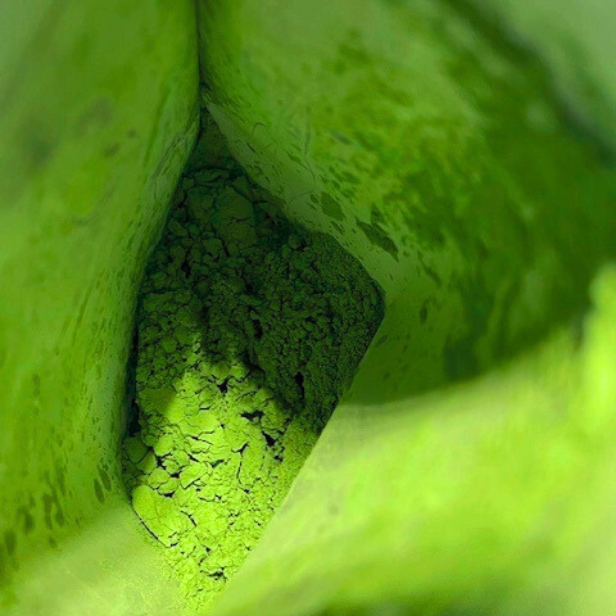 Matcha Cérémonie 60gr