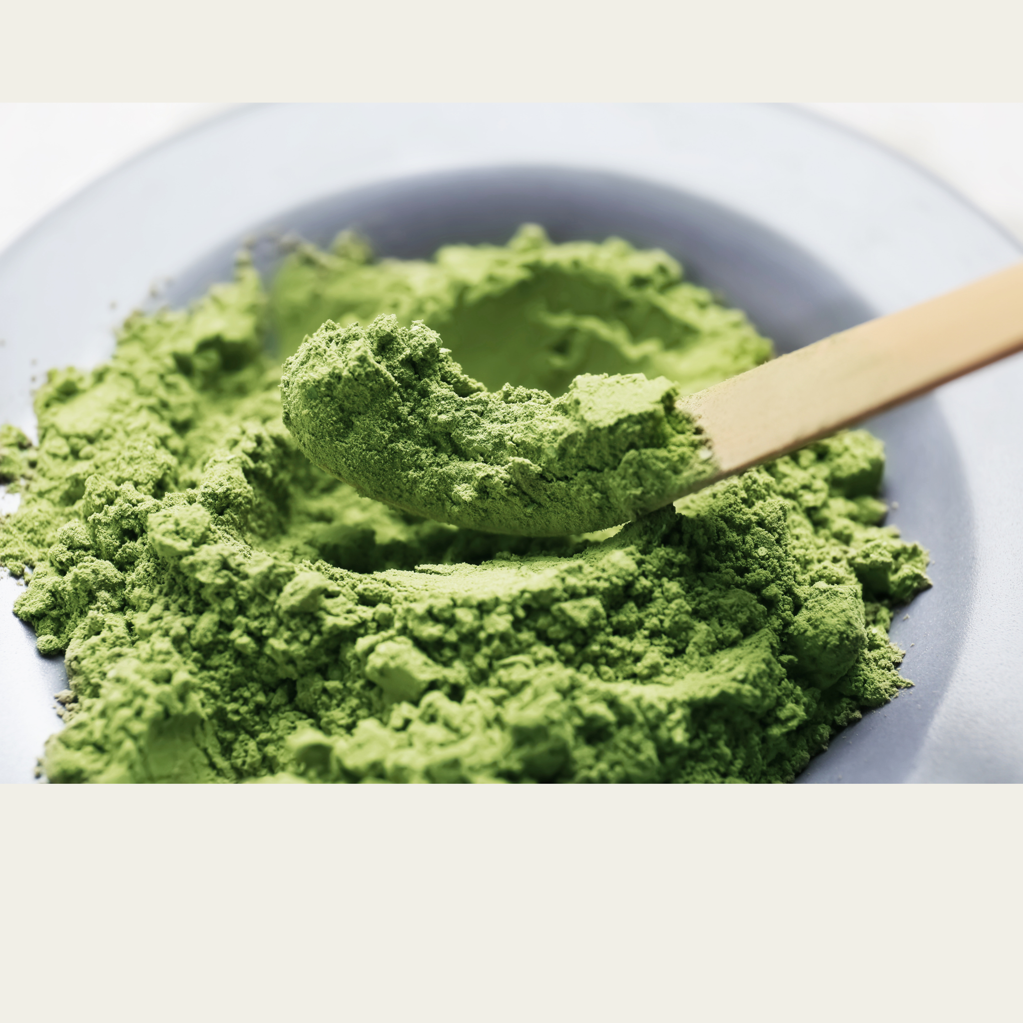 Chashaku (cuillère en bambou)